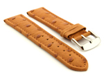 Genuine Ostrich Leather Watch Strap Amsterdam Brown 22mm